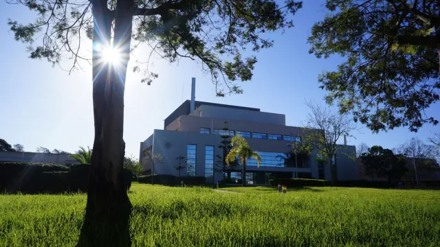 Nuclear Africa &ndash; Nuclear Africa